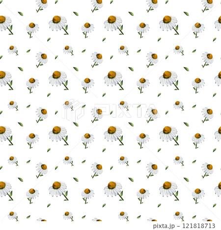 Daisies. Seamless watercolor pattern, hand drawn in a realistic style. White background. Botanical illustration for textile, greeting card, stationary wedding, home decor 121818713