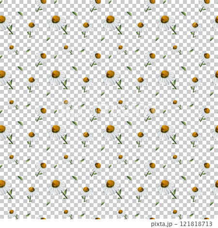 Daisies. Seamless watercolor pattern, hand drawn in a realistic style. White background. Botanical illustration for textile, greeting card, stationary wedding, home decor 121818713