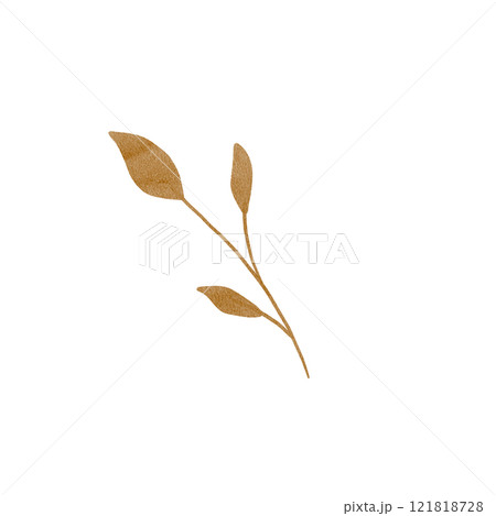 The twig is dry, with a golden texture, autumnal. Hand drawn watercolor illustration. Isolated on a white background. Part of a tree. For cards, backgrounds, decorations, scrapbooking, fabric printing 121818728