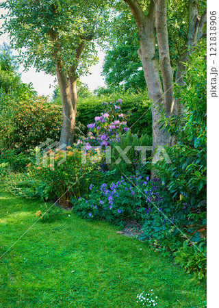 Vibrant garden with trees, flowers and lawn with green grass growing in a peaceful backyard. Beautiful flowering plants and bushes in nature. Serene beauty of outdoor landscaping in a park in summer Vibrant garden with trees, flowers and lawn with green grass growing in a peaceful backyard. Beautiful flowering plants and bushes in nature. Serene beauty of outdoor landscaping in a park in summer 121818906