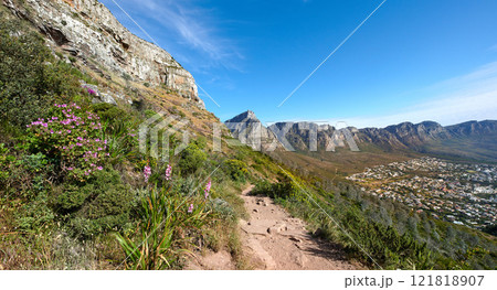 Scenic hiking trail up a mountain surrounded by lush green plants and nature with a clear blue sky. Beautiful landscape of a path on a mountainside near bright foliage with copy space on a summer day 121818907