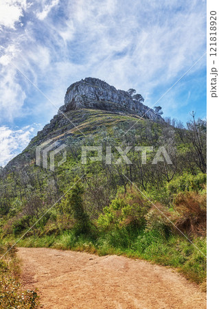 Walking or hiking pathway on a mountainside with green lush plants and flora. Zen nature landscape of rugged dirt trail for traveling at a national park in Cape Town with cloudy blue sky background Walking or hiking pathway on a mountainside with green lush plants and flora. Zen nature landscape of rugged dirt trail for traveling at a national park in Cape Town with cloudy blue sky background 121818920