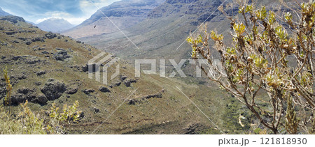 Closeup of trees and plants growing on a mountain in the countryside during summer. Scenic landscape and panoramic view of a secluded and quiet natural environment with hills and boulders in nature 121818930