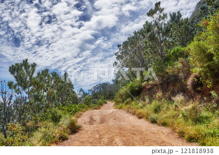 Trail on Table Mountain with vibrant, beautiful nature along a path in a forest. Trees and lush green bushes growing in harmony. Peaceful soothing fresh air with stunning views of natural landscape 121818938