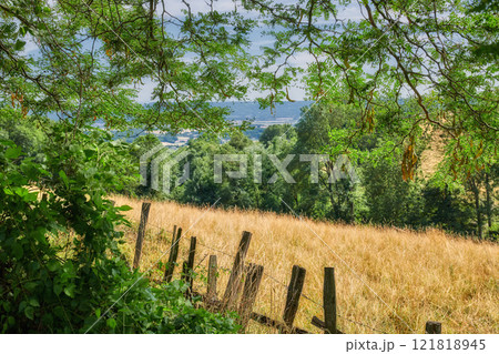 Overgrown farmland with a fence surrounding a field. Landscape of a sustainable agricultural farm with hay like grass and trees in a green environment with a barb wire barrier in the countryside 121818945