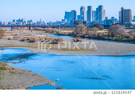 日本の東京都市景観1月9日…川崎・武蔵小杉駅前のタワーマンション群や多摩川、水鳥などを望む＝令和7年 121819147