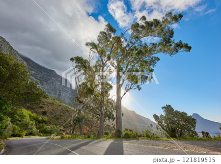 A road leading to Table mountain in Cape Town, South Africa against blue sky copy space on a sunny morning. A highway along a peaceful mountain landscape with scenic views of lush green bushes 121819515