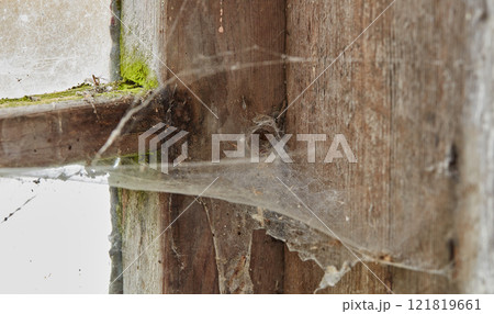 Spider web on an old dirty window in an abandoned home. Zoom in on wooden frame, texture and design of a messy timber wood styled window on a building with macro details of a dusty, mossy surface Spider web on an old dirty window in an abandoned home. Zoom in on wooden frame, texture and design of a messy timber wood styled window on a building with macro details of a dusty, mossy surface 121819661