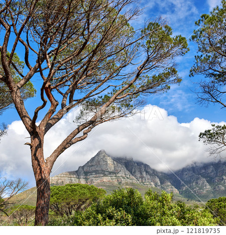 Scenic landscape of Table Mountain in Cape Town, South Africa against cloudy blue sky copy space. Scenic view of plants and trees growing on a rocky hill and cliff in a natural organic environment 121819735