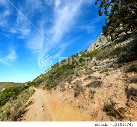 A quiet mountain trail on Table Mountain in Cape Town, South Africa. Beautiful scenery of green trees, bushes, and plants along a walking path in nature. Scenic view of a valley against a blue sky A quiet mountain trail on Table Mountain in Cape Town, South Africa. Beautiful scenery of green trees, bushes, and plants along a walking path in nature. Scenic view of a valley against a blue sky 121819745
