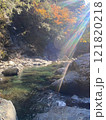 清流 121820218