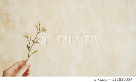 A delicate hand presents a single flower branch, symbolizing support for gender equality on International Women's Day 121820354