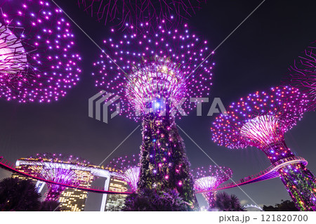 Low-angle view of the Supertree Grove at Gardens by the Bay in Singapore, there is an exhilarating light and musical show at night. 121820700