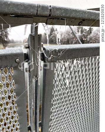 Frozen cobweb lace on a fence at the beginning of winter. 121820830