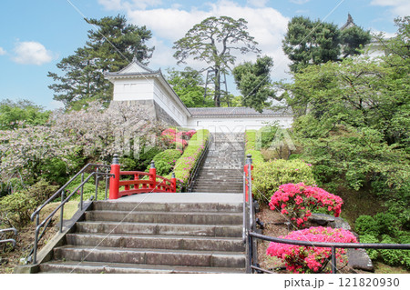 小田原城・常盤木門前/神奈川県小田原市城内6 小田原城・常盤木門前/神奈川県小田原市城内6 121820930