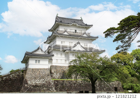 小田原城/神奈川県小田原市城内6 小田原城/神奈川県小田原市城内6 121821212