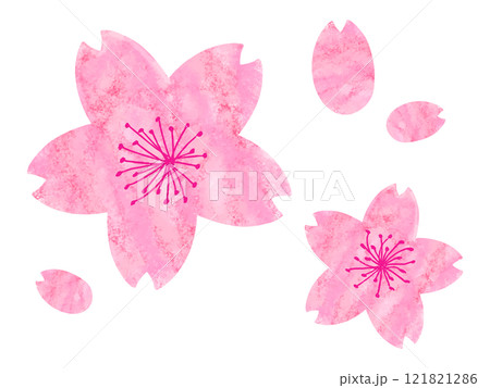 水彩風の桜の花素材 121821286
