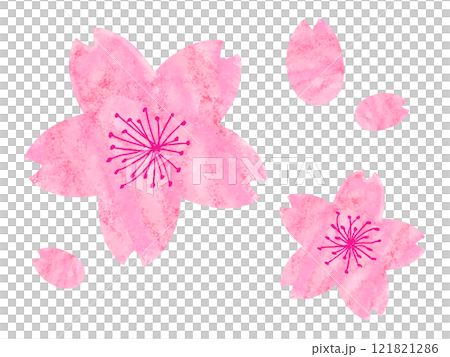 水彩風の桜の花素材 121821286