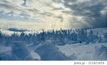 氷の芸術が並ぶ氷濤まつり 121821659