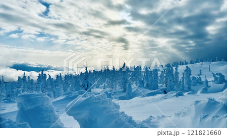 天使のカーテンと樹氷 121821660