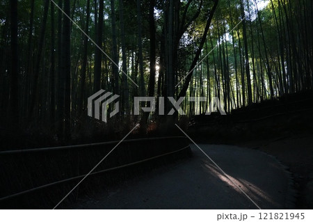 嵐山竹林小径　光と影 121821945