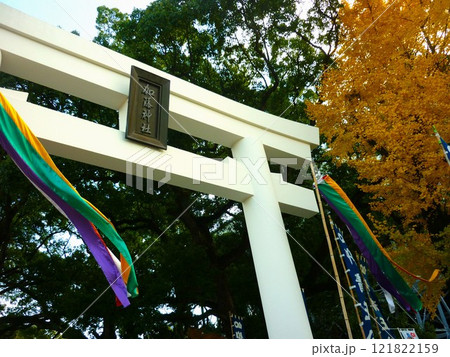 加藤神社の鳥居と銀杏の木 加藤神社の鳥居と銀杏の木 121822159