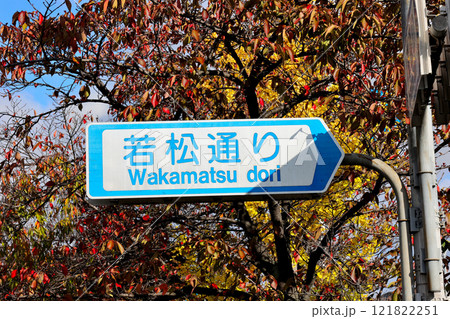 京都　若松通り　 121822251