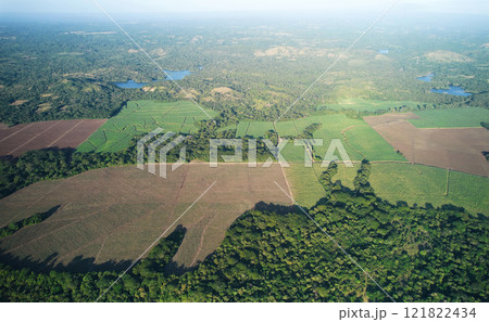 Green farmland landscape 121822434