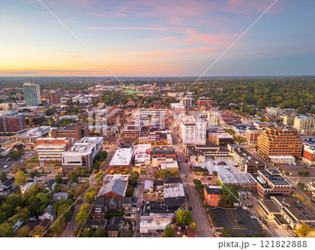 Ann Arbor, Michigan, USA College Town Skyline 121822888