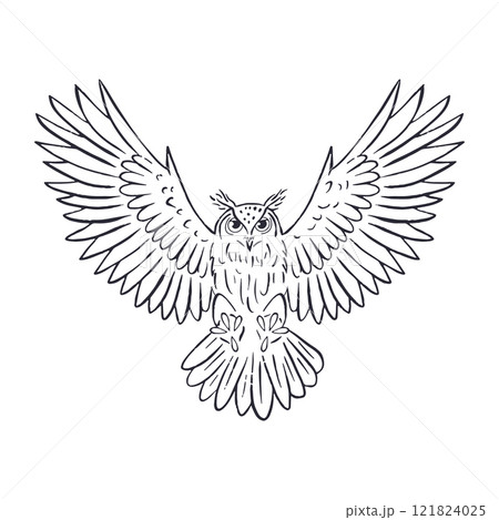 Hand drawn black and white line art eagle-owl flying 121824025