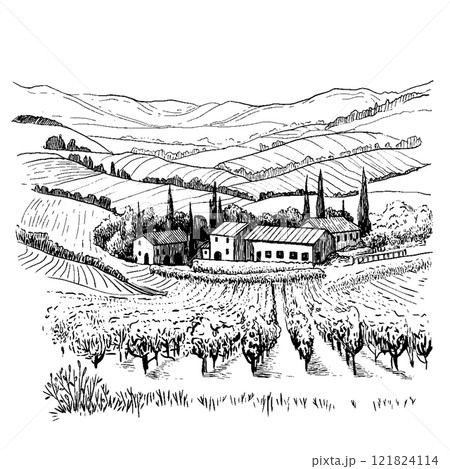Landscape of rows of vineyards and farm winery in graphic style. Vector Illustration Landscape of rows of vineyards and farm winery in graphic style. Vector Illustration 121824114
