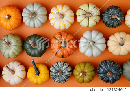 Flat Lay Colorful Pumpkins on Orange Background Flat Lay Colorful Pumpkins on Orange Background 121824642