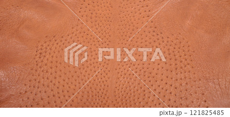 Background from a ostrich genuine leather brown 121825485