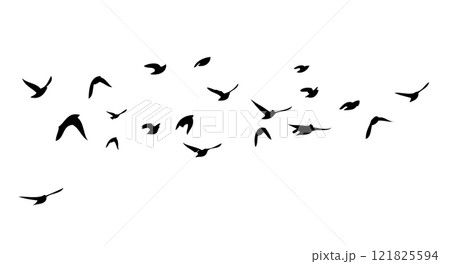 Flying birds silhouette flock. hand drawing. Not AI. Vector illustration Flying birds silhouette flock. hand drawing. Not AI. Vector illustration 121825594