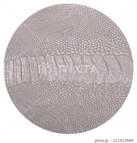 Ostrich leg leather grey isolated on a white background 121825666