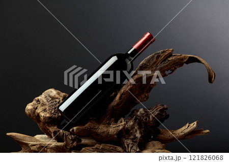 Bottle of red wine on a old snags. 121826068