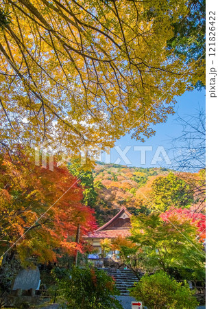 【紅葉の名所 聖宝寺】 本堂 鳴谷山聖宝寺 いなべ市 三重県 【紅葉の名所 聖宝寺】 本堂 鳴谷山聖宝寺 いなべ市 三重県 121826422