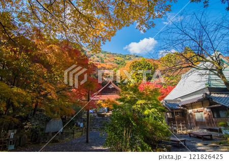 【紅葉の名所 聖宝寺】 本堂　鳴谷山聖宝寺　いなべ市　三重県 121826425