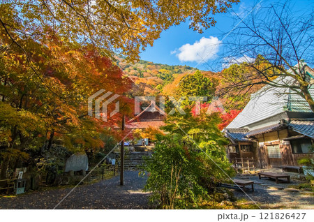 【紅葉の名所 聖宝寺】 本堂 鳴谷山聖宝寺 いなべ市 三重県 【紅葉の名所 聖宝寺】 本堂 鳴谷山聖宝寺 いなべ市 三重県 121826427