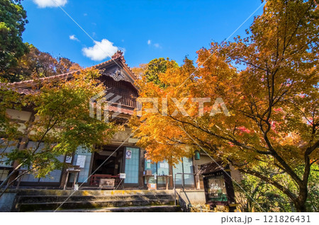 【紅葉の名所 聖宝寺】 本堂　鳴谷山聖宝寺　いなべ市　三重県 121826431