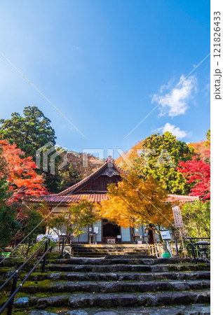 【紅葉の名所 聖宝寺】 本堂　鳴谷山聖宝寺　いなべ市　三重県 121826433