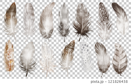 Watercolor set of bird feathers. Hand-drawn brown owl feather clip art on a white isolated background. Vintage feather bunch with soft plumage, perfect for boho and natural-themed prints. 121826438