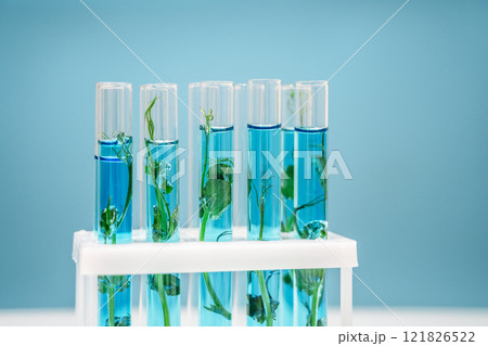 Test tubes with plants. Biotechnology and biochemistry science concept 121826522