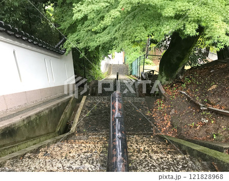 Outdoor city walking path and staircases with green trees 121828968