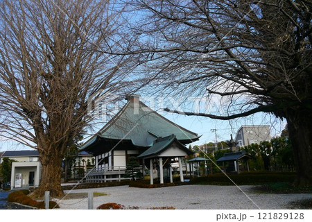 小田急線座間駅から歩いて十分ほどの星谷寺は坂東三十三観音八番札所です 小田急線座間駅から歩いて十分ほどの星谷寺は坂東三十三観音八番札所です 121829128