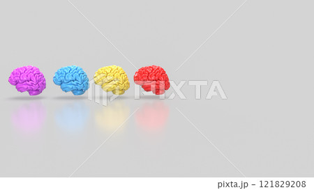 The Brain multi color on white background  for education or sci concept 3d rendering. 121829208