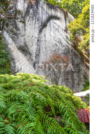 笠置寺（京都府）修行場巡り　弥勒磨崖仏 121829480