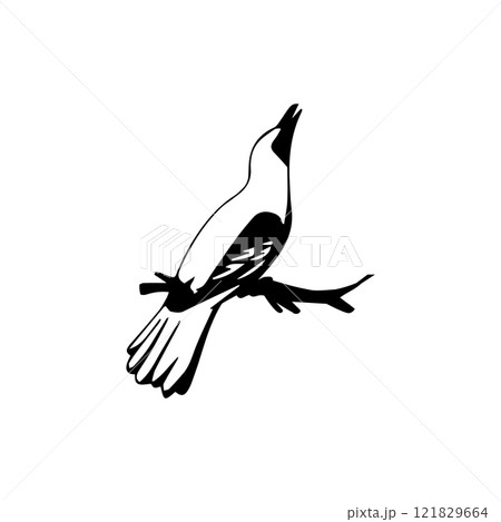 green cucok bird, vectors illustration green cucok bird, vectors illustration 121829664