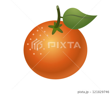 Citrus fruit orange, tangerine, mandarin with a green leaf, stem icon Citrus fruit orange, tangerine, mandarin with a green leaf, stem icon 121829746