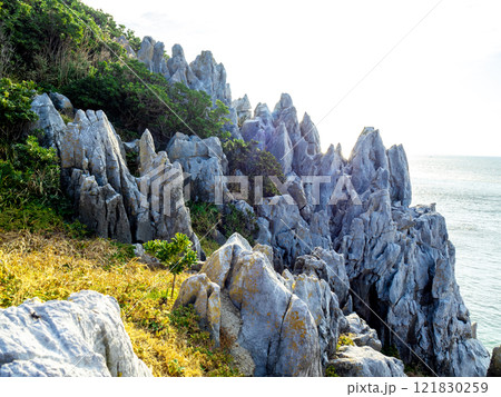 神島・ニワの浜にあるカルスト地形(三重県鳥羽市) 神島・ニワの浜にあるカルスト地形(三重県鳥羽市) 121830259